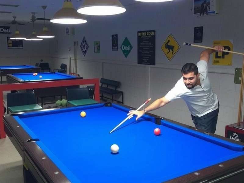 Desi Pool Pro Player Reviews